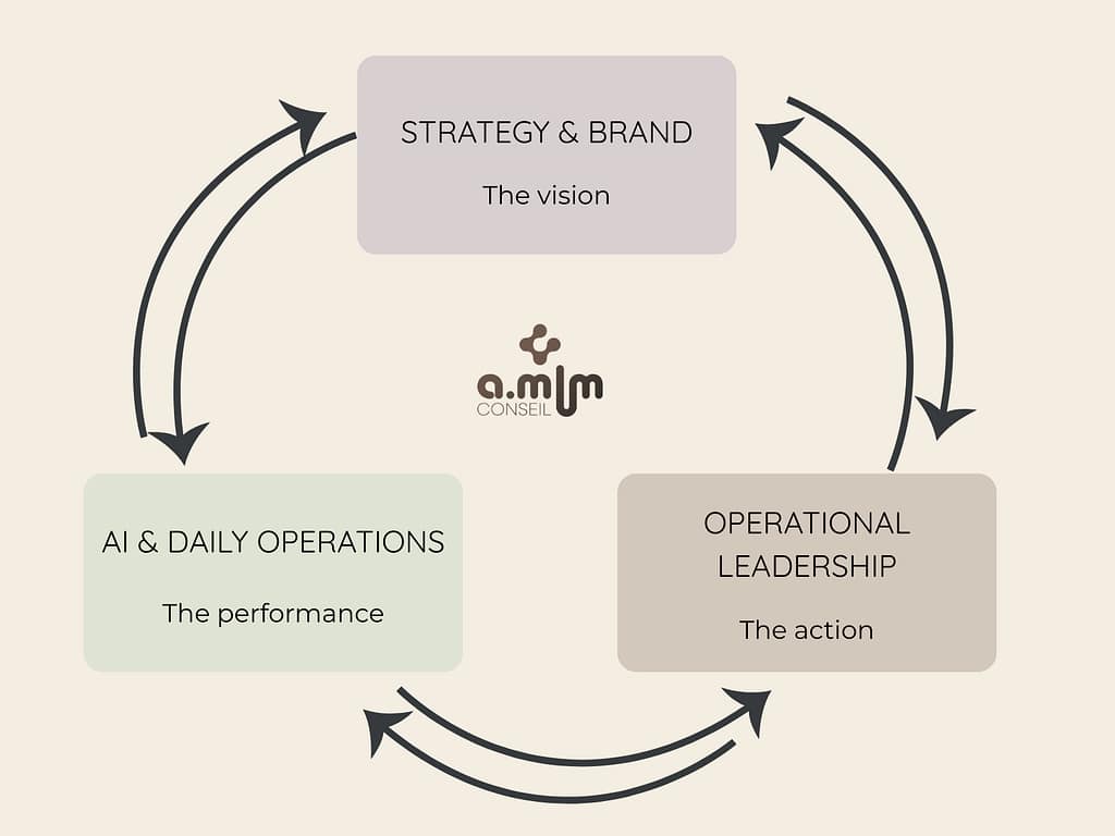Digital Business Strategy & Outsourced Leadership | A.MLM